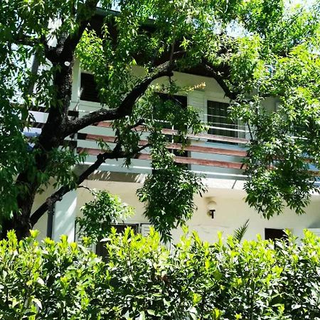 Felix Apartment Biograd บีโอกราดนาโมรู ภายนอก รูปภาพ