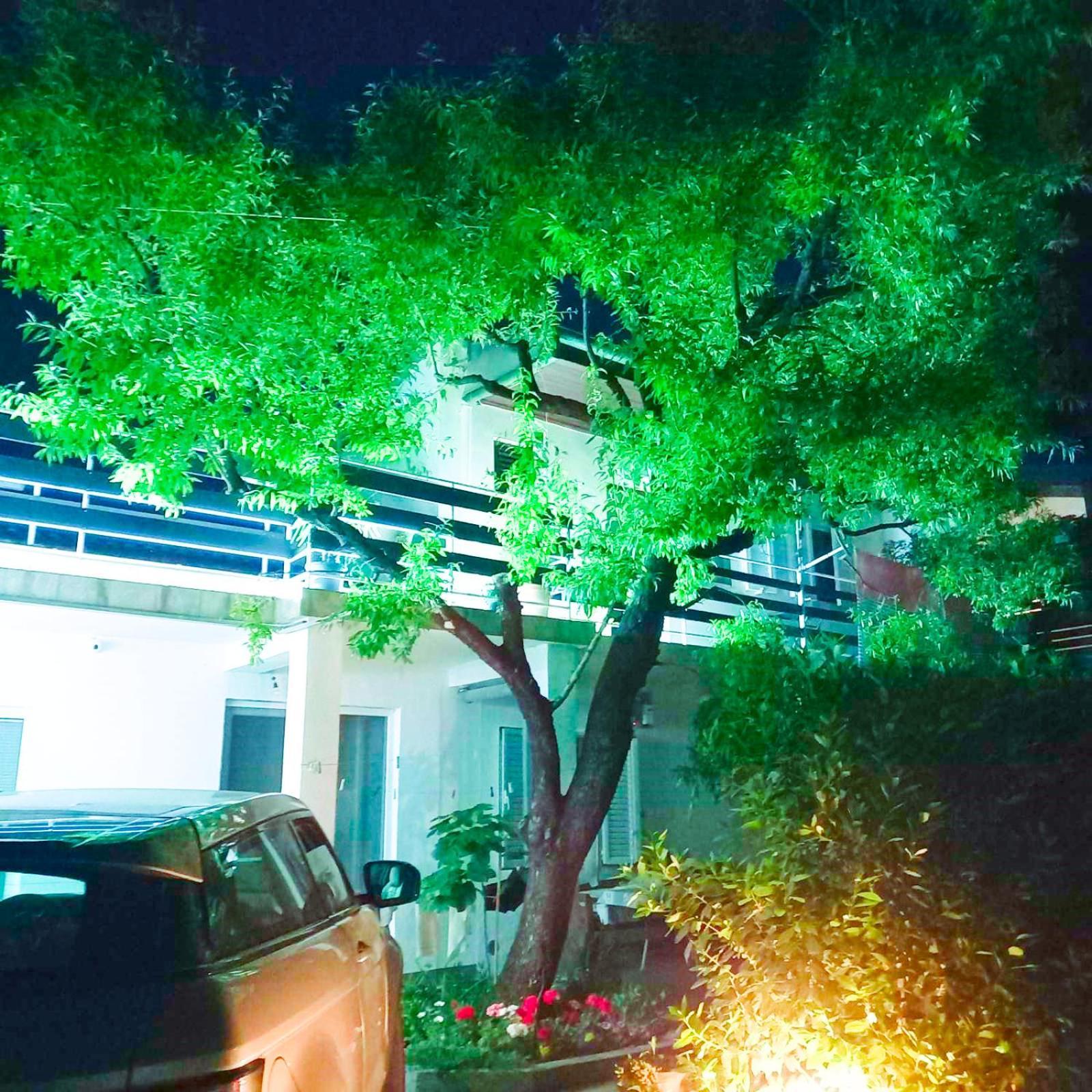 Felix Apartment Biograd บีโอกราดนาโมรู ภายนอก รูปภาพ